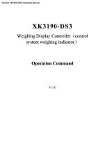 XK3190-DS3 command